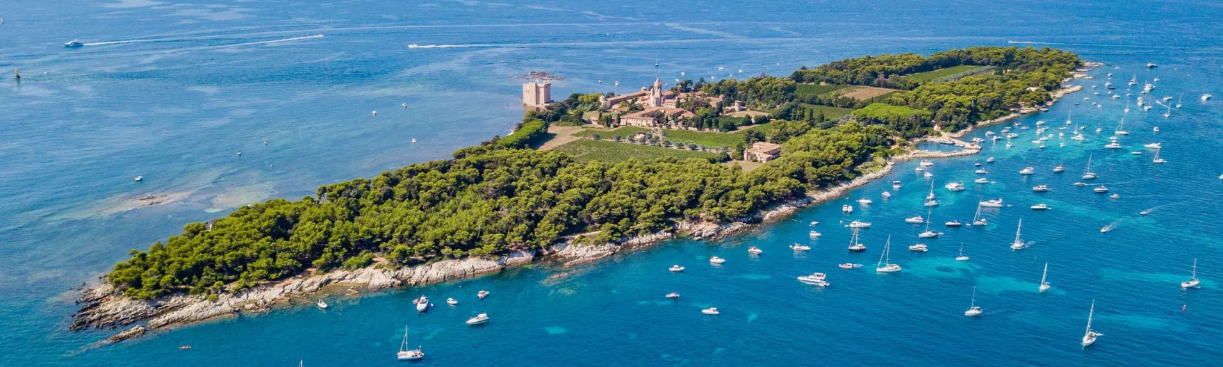 Cannes, valeur sûre sur la Côte d’Azur